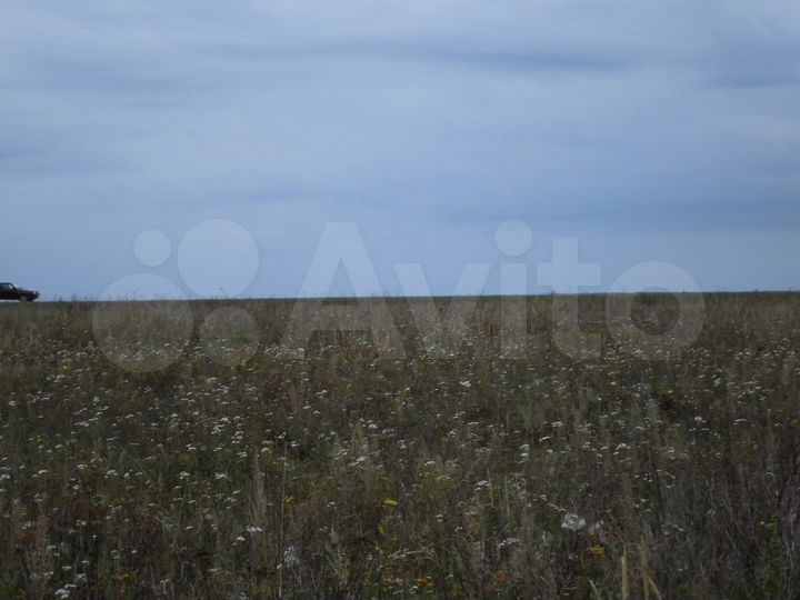 Участок 25,65 га (СНТ, ДНП)