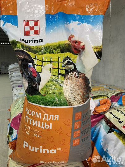 Комбикорм пурина