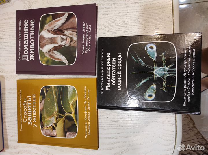 Коллекция книг Удивительный мир живой природы