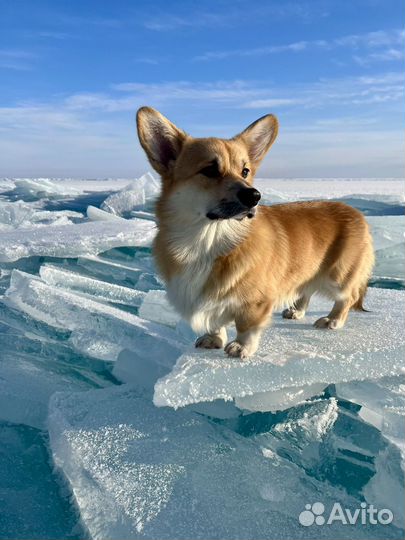 Авторский тур 