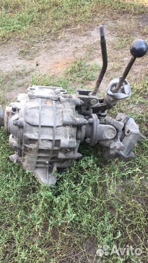 Раздатка нива