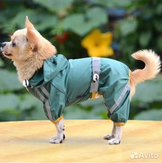 Дождевик для собак