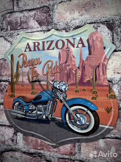 Декор на стену Arizona Born to Ride