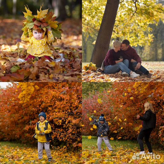 Фотограф (осенние фотосессии)