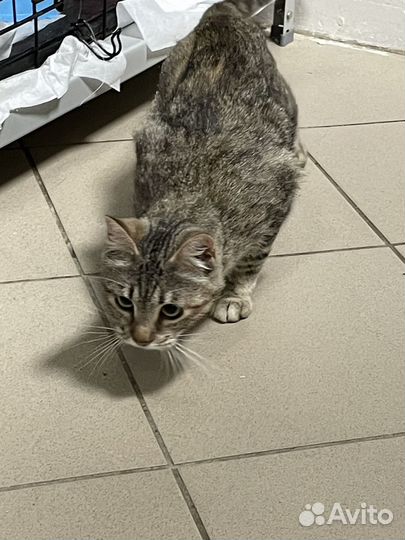 Малышка на миллион