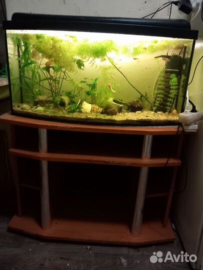 Аквариум с тумбой