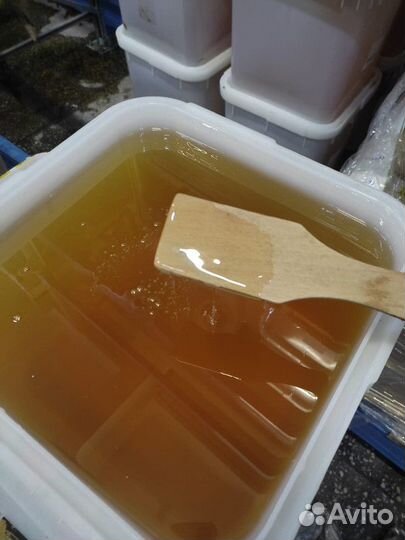 Свежий мед акация оптом