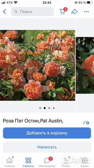 Чарльз Остин,Пэт Остин,Клер Остин и др