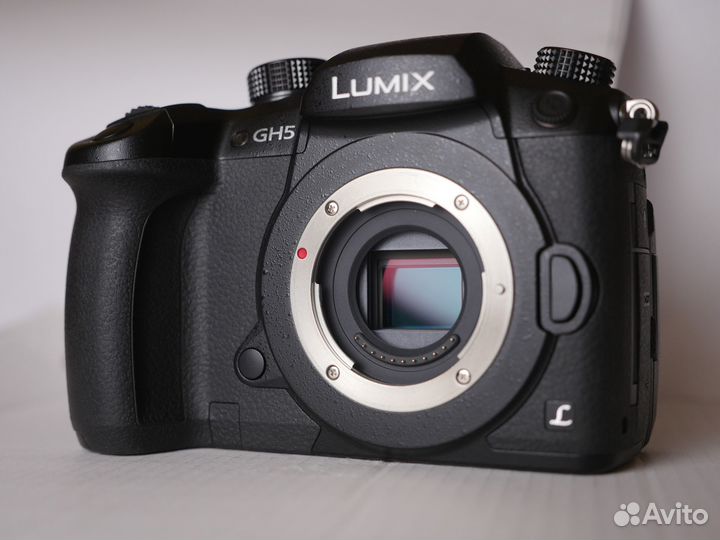 Panasonic lumix gh5