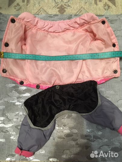 Одежда для собак, ошейник,носки,шапка