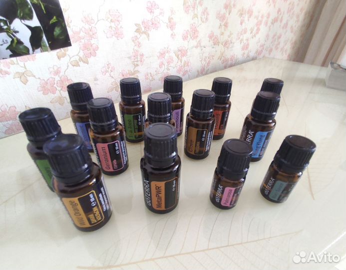 Новые эфирные масла doTerra пачули иланг розмарин