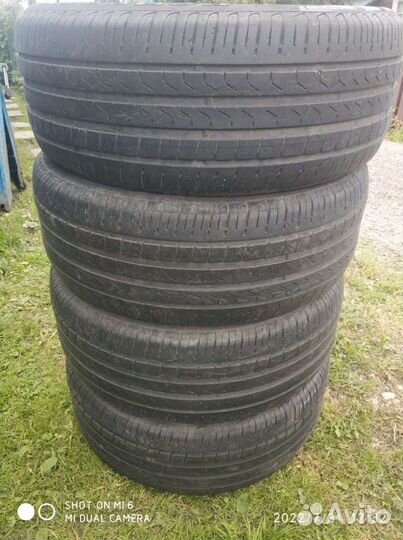 Pirelli Scorpion Verde 235/50 R19 99V