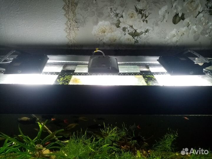 Аквариум 450 литров