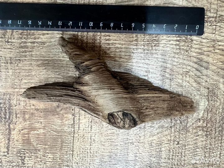 Дар природы