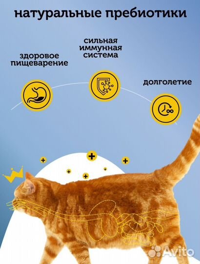 Корм для кошек 10 кг