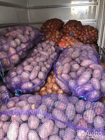 Картофель от производителя. гост 7176-85