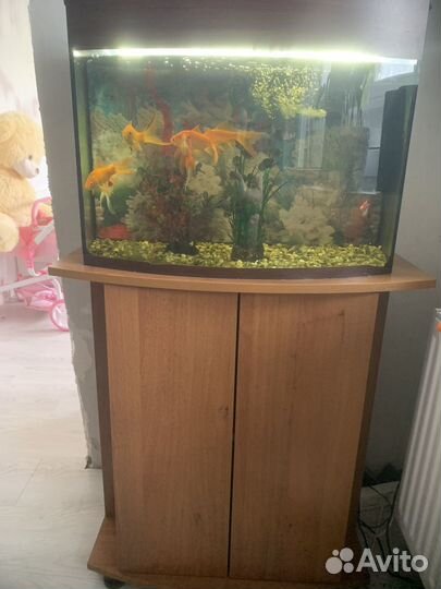 Аквариум на 100 литров с тумбой
