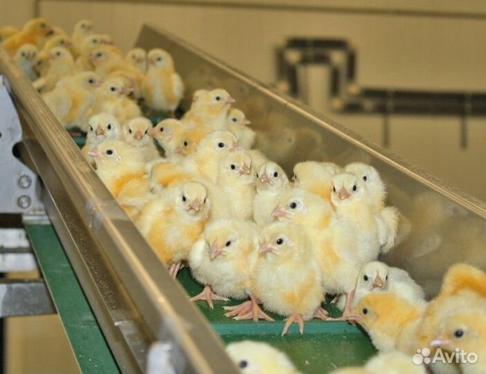 Подсобный рабочий