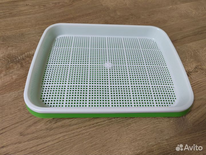 Проращиватель семян (микрозелени )