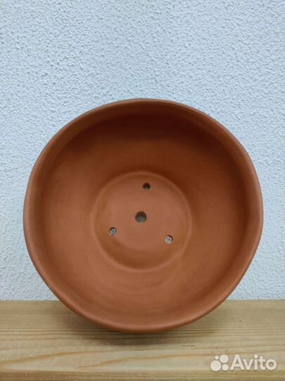 Бонсайницы