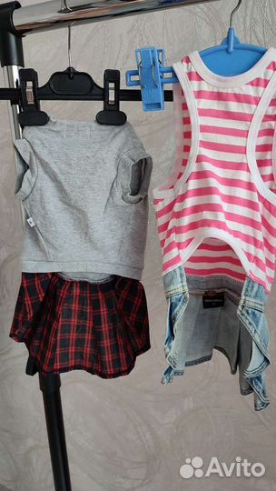 Одежда для собак мелких пород