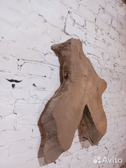 Спил прикорневой