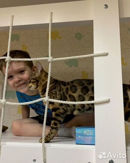 Детский спортивный комплекс 