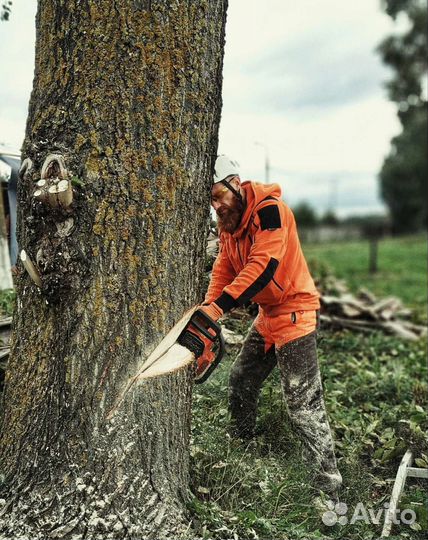 Спил, удаление, обрезка деревьев