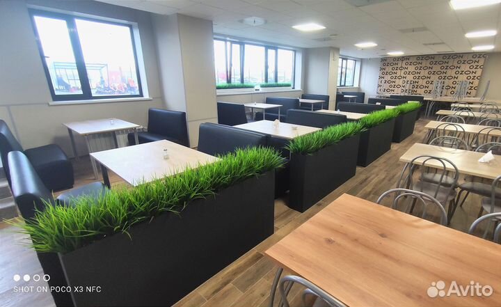 Озеленение интерьера, фитостены фитопанно деревья