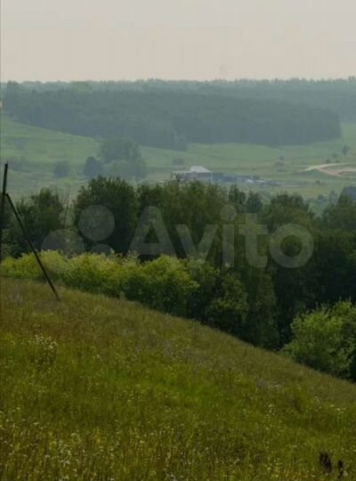 Участок 22 сот. (ИЖС)