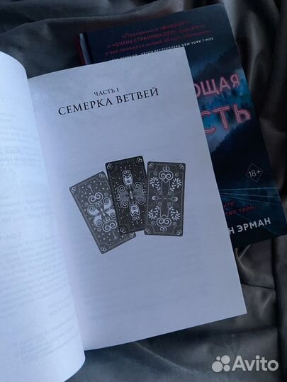 Книги Пожирающая серость