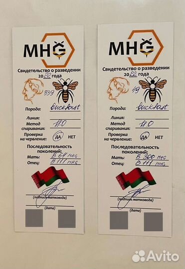 Bakfast f1, Пчеломатки Тамбов, отправляю