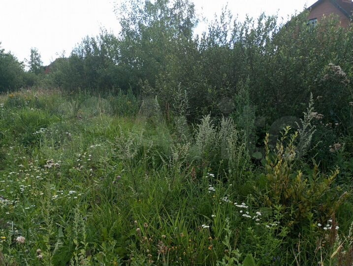 Участок 20 сот. (ИЖС)