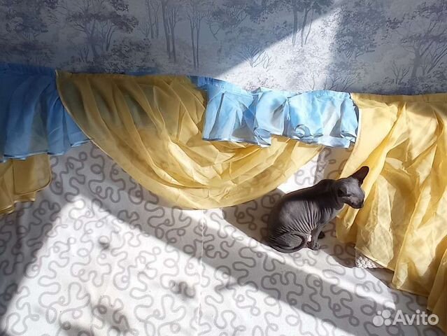 Шторы тюль с ламбрикеном в детскую