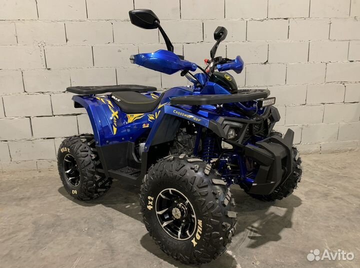 Квадроцикл 125 Motoland wild X PRO