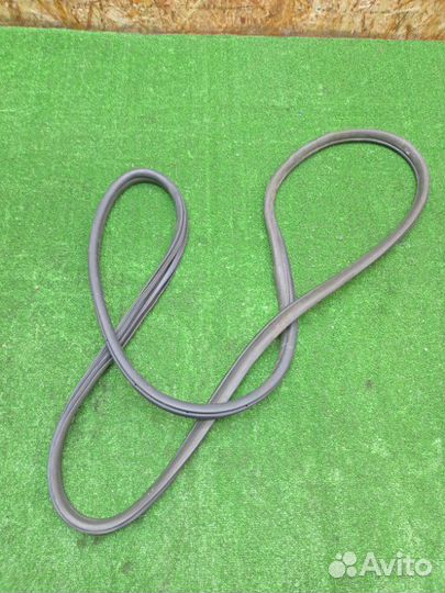 Уплотнитель проема двери задний правый Nissan