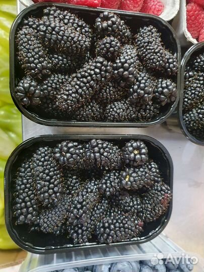 Голубика свежая