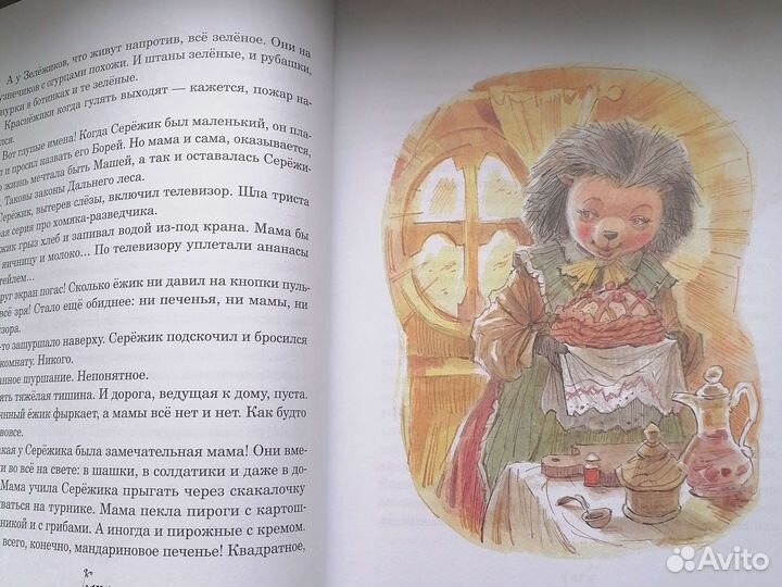Детские книги Серёжик Ракитина Е