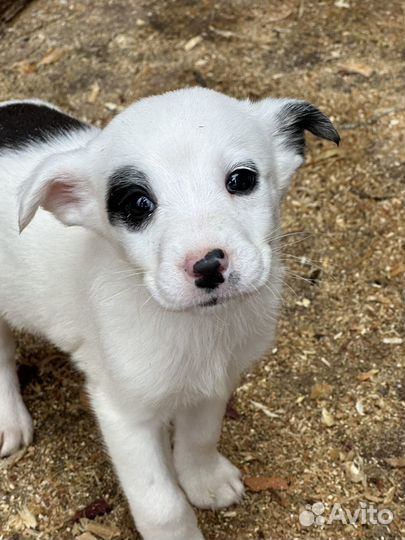 Девочка ищет семью