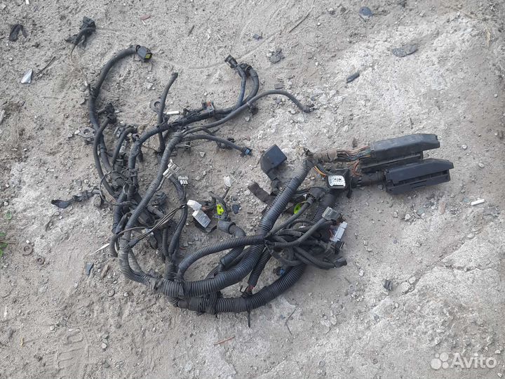 Chevrolet Lacetti проводка двигателя