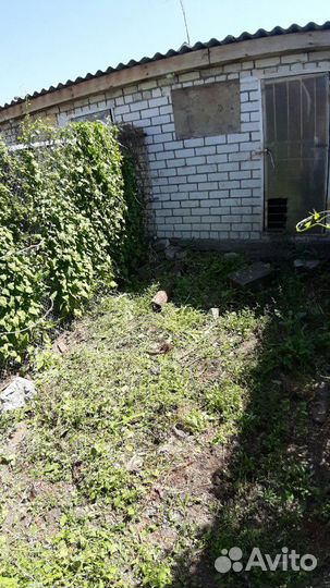 Гостиница для собак, передержка