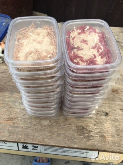 Черви и опарыш