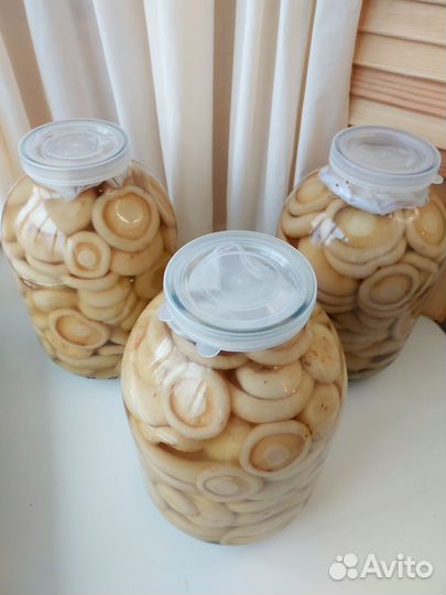 Грузди белые солёные