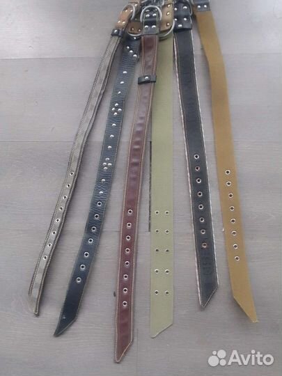 Ошейники для собак