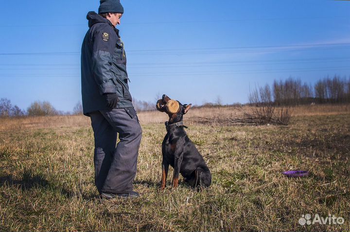 Кинолог, зоопсихолог*