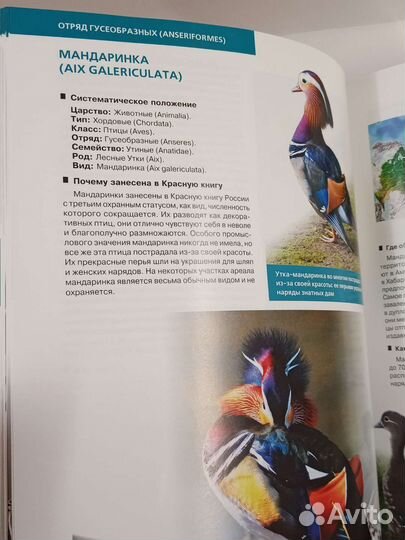 Красная книга России. Новая книга