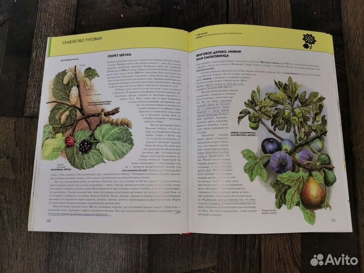 Полная энциклопедия 