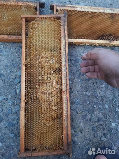 Рамки с сушью