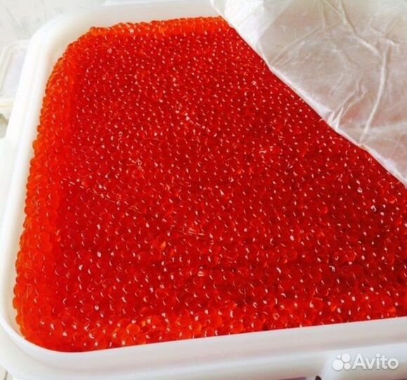 Икра красная, вкусная, среднесоленая, малосоленая