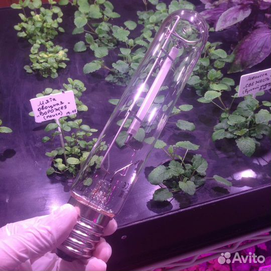 Комплект света днат 250-400 ватт + отражатель